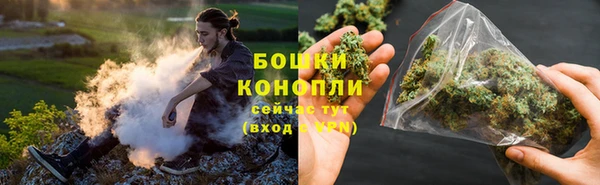 индика Гвардейск