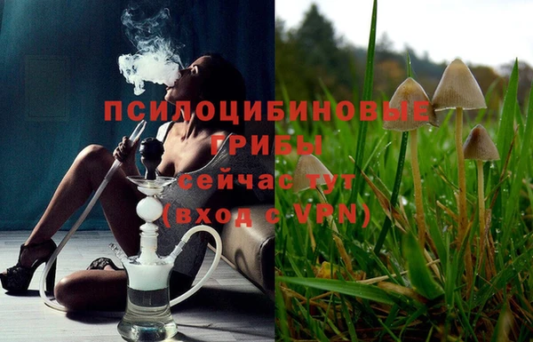 индика Гвардейск