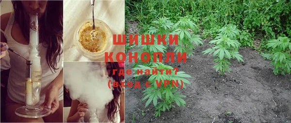 эйфоретик Осташков