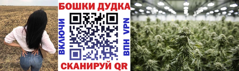 Канабис ГИДРОПОН Ленск